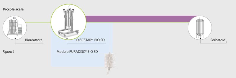 fasi di purificazione di mAb e cellule di mammifero con mezzi filtranti monouso